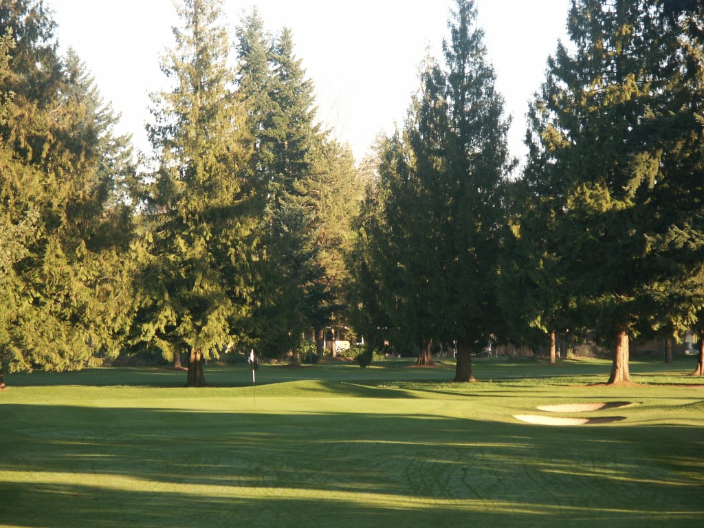 trees casting shade over the fairway