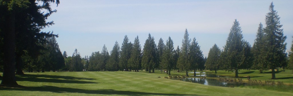 fairway shaded by trees
